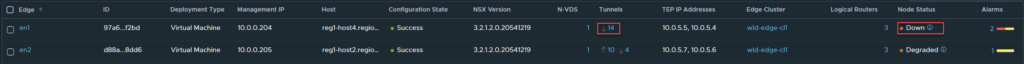 VMware NSX Edge failure tep down