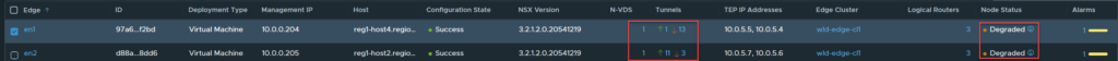 VMware NSX Edge node tep behavior