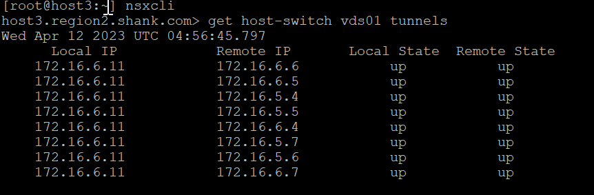 vmware nsx tep bfd sessions