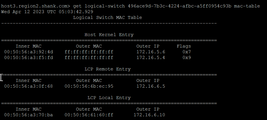 vmware nsx tep vm 