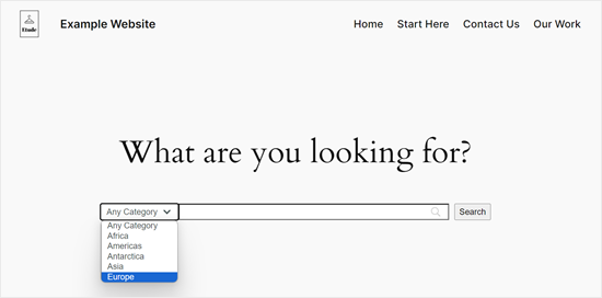 Example of a search by category form made with SearchWP Example of a search by category form made with SearchWP