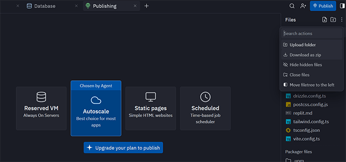 Publish replit website