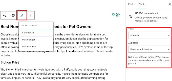 AIOSEO 's AI assitance options for tone and audience AIOSEO 's AI assitance options for tone and audience