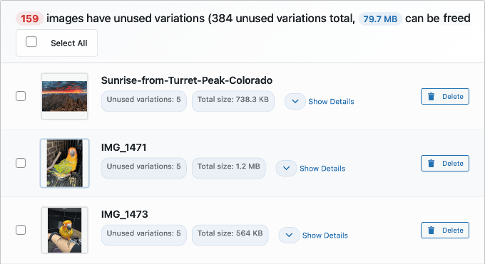 WP Media Cleanup Lists Unused Image Variations