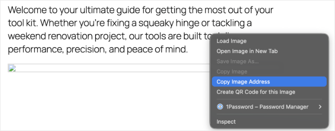 Copying the Address of a Broken Image