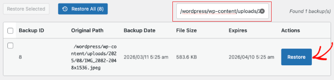 WP Media Cleanup Search and Restore