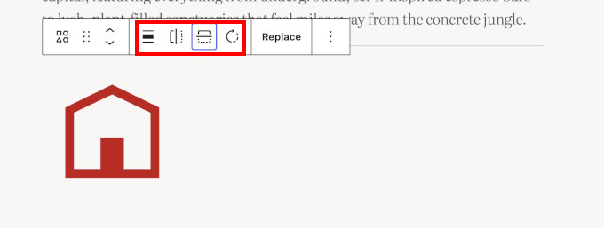 Icon block options