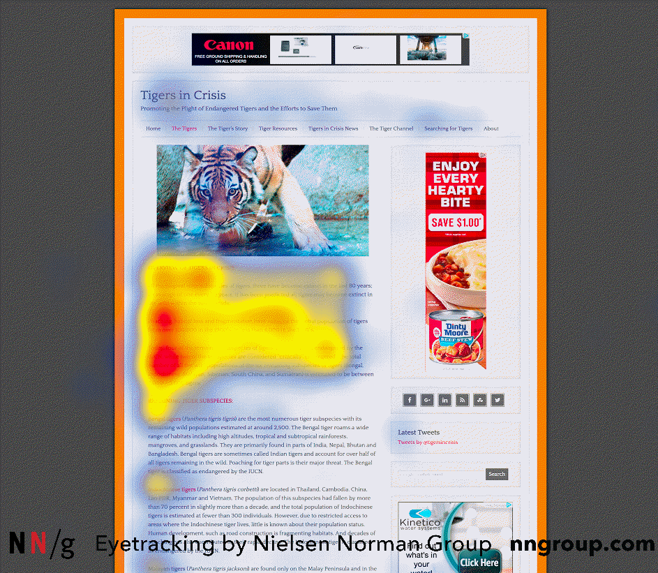 Nielsen Norman Group eye-tracking heatmap showing readers focus on the first lines of a web page in an F-shaped pattern, with little attention further down